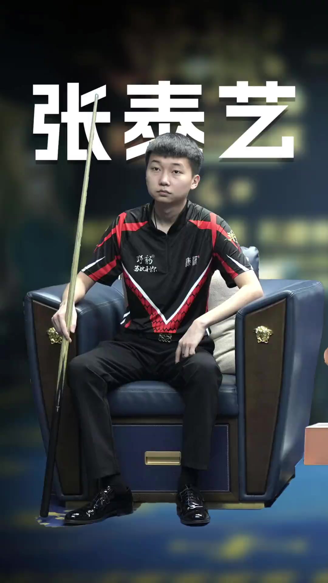 供了丰富的
