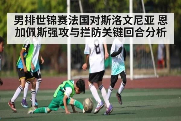 男排世锦赛法国对斯洛文尼亚 恩加佩斯强攻与拦防关键回合分析
